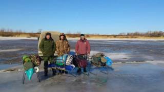 сани-кресло-раскладушка  "три в одном" 3в1 видео