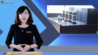 Cặp đôi hoàn hảo bộ Pre-Power Ampli PrimaLuna ProLogue Premium | AudioHanoiTV 81