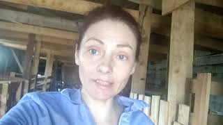 Сбор денег для Елены Мороз-ОСТОРОЖНО,МОШЕННИКИ!!!Опять хозяйство,новый козлёнок.Клещи ползут в дом.