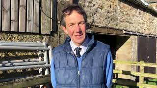 National Rural Crime Day: Sheep Theft
