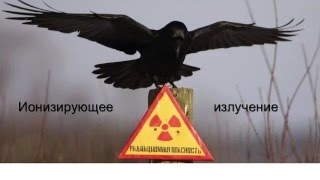 Битва Умов, Science Slam Ekaterinburg, Виктор Ягодин, Радионуклиды