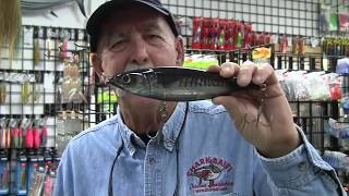 2019 Savage Salt - 3D Squids and Mackerel StickBaits