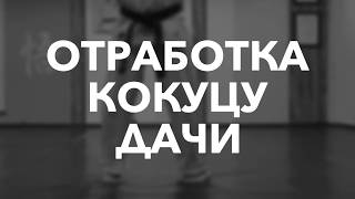 Отработка Кокуцу дачи