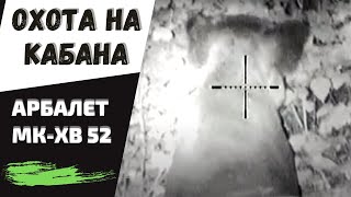 Охота на кабана с арбалетом МК-ХВ52