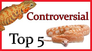 Top 5 Most Controversial Reptiles | MUTANT Reptiles