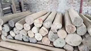 part 1 সাশ্রয়ী দামে বাথরুম বারান্দার এবং মেইন গেটের কাঠের দরজা চৌকাট সহকারে কলেকশন (falak angel)