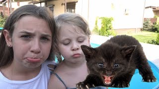 Дана и Диана ПРИКЛЮЧЕНИЯ!! СПАСЛИ КОТЁНКА