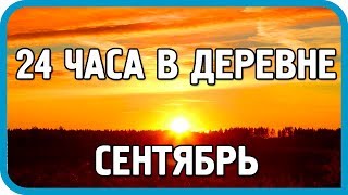 24 ЧАСА В ДЕРЕВНЕ. СЕНТЯБРЬ. СОБРАТЬ ВСЁ, ЧТО МОЖНО!