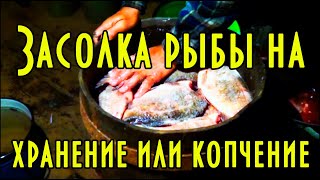 ?  Засолка щуки и карася ХОЛОДНОЕ КОПЧЕНИЕ РЫБЫ Часть 2.1 ?