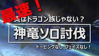 【FF11】最速神竜討伐フェイスなし！【ソロ】