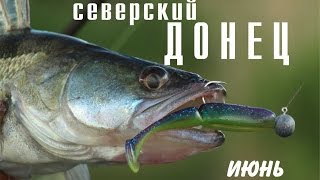 Ловля судака и голавля в  Ростовской области. Северский Донец. Июнь