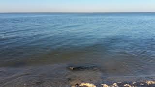 ЕЙСК 2019. ПОГОДА В ЕЙСКЕ СЕГОДНЯ. ИЮЛЬ. ЦЕНЫ НА КУКУРУЗУ, ОВОЩИ, ФРУКТЫ. ДОЛЖАНСКАЯ. КАНАЛ ТУТСИ