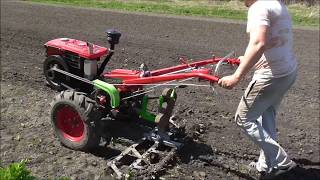 ПОЛЕВЫЕ ИСПЫТАНИЯ тяжелого мотоблока с бороной./FIELD TESTS of a heavy motoblock with a harrow.