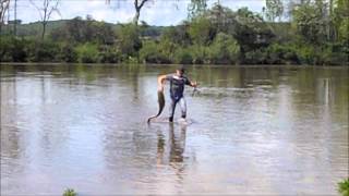 silure en loire sur canne street fishing