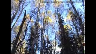 Государственный природный заказник "Былина" часть 1