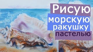 Пастель: рисую морскую ракушку сухой пастелью
