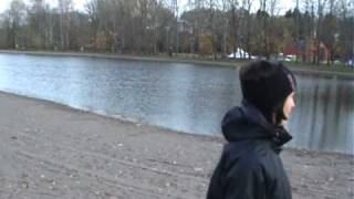 Allan goes höna