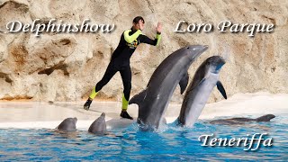 Delphin Show im Loro Parque auf Teneriffa
