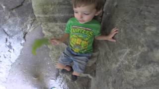 Hiking @ Thatcher Park (Watch in HD)