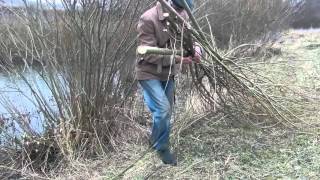 Заготовка ивы для теплых грядок Розума | Заготовка верби для теплих грядок Розума