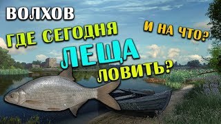 РУССКАЯ РЫБАЛКА 4. Фарм серебра на Волхове. Где и на что ловить Леща на реке Волхов.