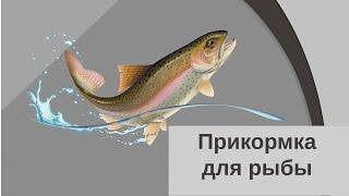 Бизнес презентация: Реклама прикормки для рыбы