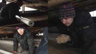 Утепление крыши в коровнике! Разговорные разговоры!