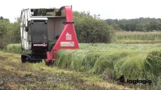 Softrak Cut & Collect Harvesting Around The Worlds Wetlands
