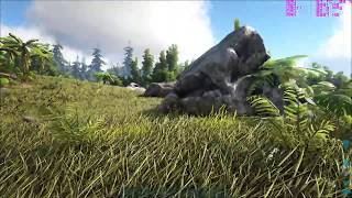 ARK: Survival Evolved - Athlon 860k - GTX 1050 ti - 8GB RAM - high settings