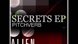 Pitchverb - Crying Decibell (Original Mix)