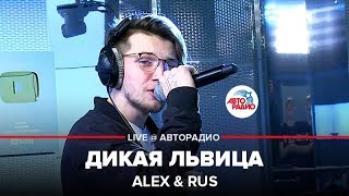?️ Alex & Rus - Дикая Львица (LIVE @ Авторадио)
