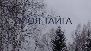 Моя Тайга. Фильм Павла Папанина.