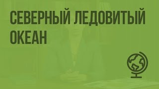Северный Ледовитый океан. Видеоурок по географии 7 класс
