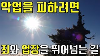 [삶의 나침반] 악업을 피하려면, 업장을 뛰어남는 길, 연금술사와 시크릿을 너머