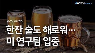 "한잔 술도 해로워"…미 연구팀 입증 / YTN 사이언스
