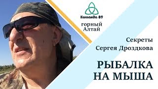 Рыбалка на мыша в Горном Алтае Команда 89