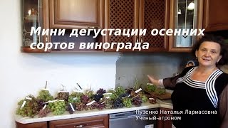 Как проходят мини дегустации винограда  у меня дома для друзей и глав ЛПХ