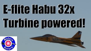 TURBINE POWERED e-Flite Habu 32X (Dave Wilshere)
