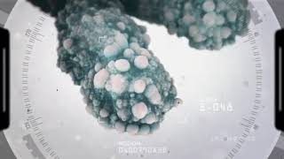 FINITI  - Продление молодости!