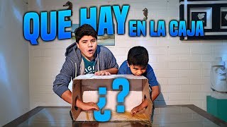 Que hay en la caja con mi hermano!! | Parte 2