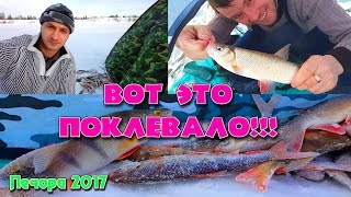 ВОТ ЭТО ПОКЛЕВАЛО / ЗИМНЯЯ РЫБАЛКА 2017 / ГОРОД  ПЕЧОРА / ОЗЕРО В ПРИГОРОДЕ / WINTER FISHING 2017
