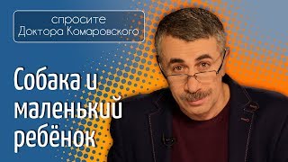 Собака и маленький ребенок - Доктор Комаровский
