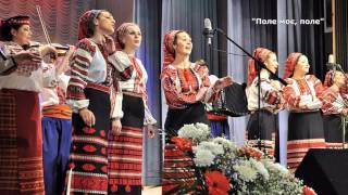 «Поле моє, поле» хор ім. Верьовки