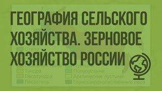 География сельского хозяйства, зерновое хозяйство России. Видеоурок по географии 9 класс