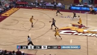 Devin Ebanks - Highlights of 2013-14 NBA D-League Season
