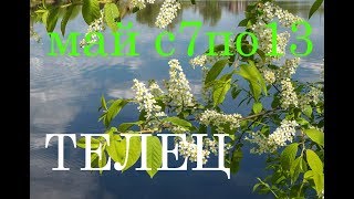 ТЕЛЬЦЫ. ПРОГНОЗ на НЕДЕЛЮ  с 7 по 13 МАЯ. 2018г.