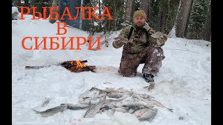 ОКУНЬ ЧЕБАК РЫБАЛКА 2020 ОГОНЬ  ЗАШКАЛИВАЕТ В СИБИРИ ХМАО 2020 ЯНВАРЬ