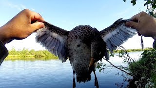 Охота на утку с подхода.Ружье МР-155. Республика Коми.