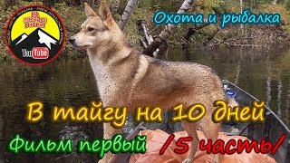 В тайгу на 10 дней.  1 фильм.  /5 часть/