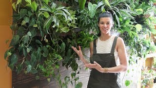 DIY Sub-irrigated Green Wall — Plant One On Me — Ep 028